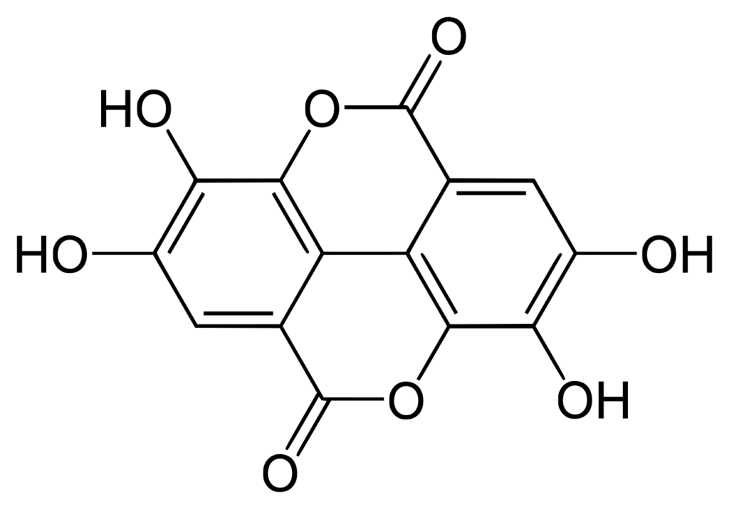 Chemische Struktur des Polyphenols  Ellagsäure